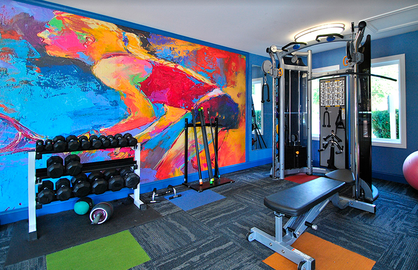 Apartment Townhome Fitness Center